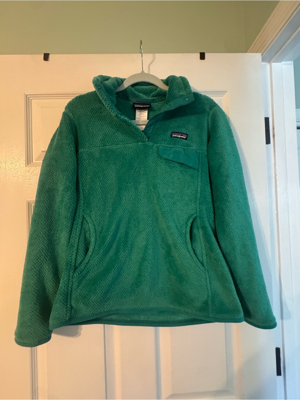 Patagonia Teal Pullover Fleece Jacket